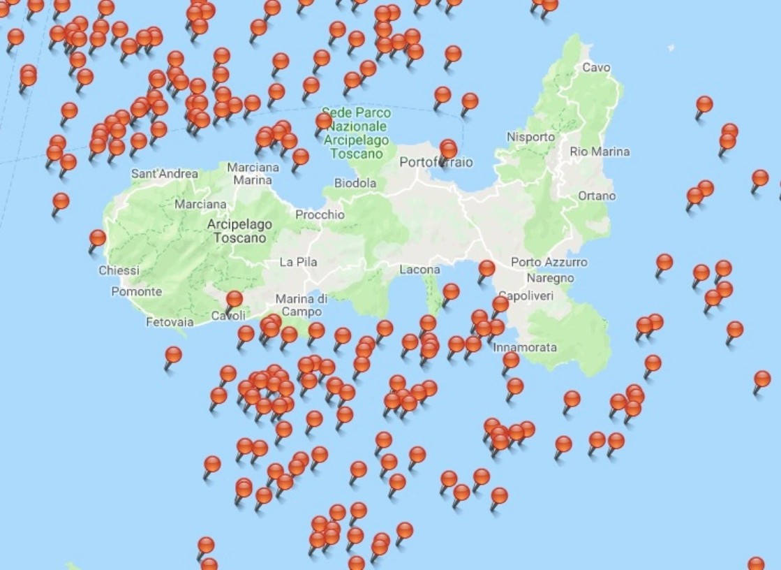 Distribution of cetacean species in the sea of ​​the Tuscan Archipelago